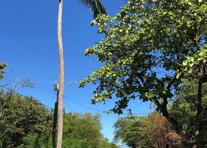 Casa Almandros * Coco